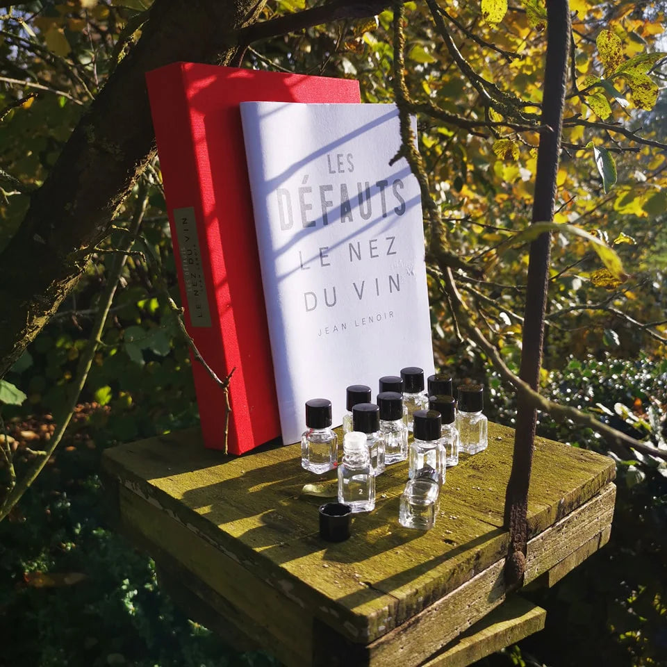 Le Nez du Vin wine aroma kit by Jean Lenoir with aroma vials and guidebook