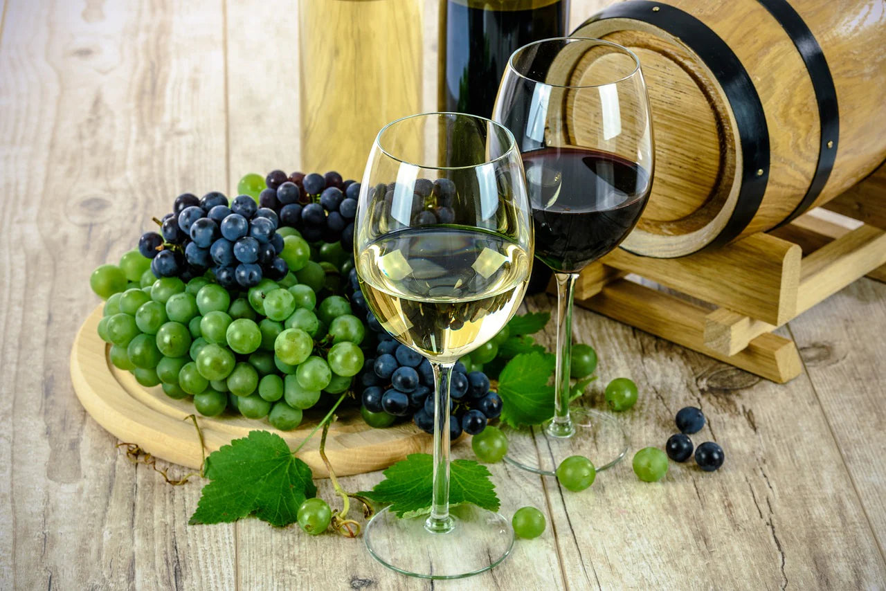 Wine aroma kit with vials of isolated wine scents for sensory training