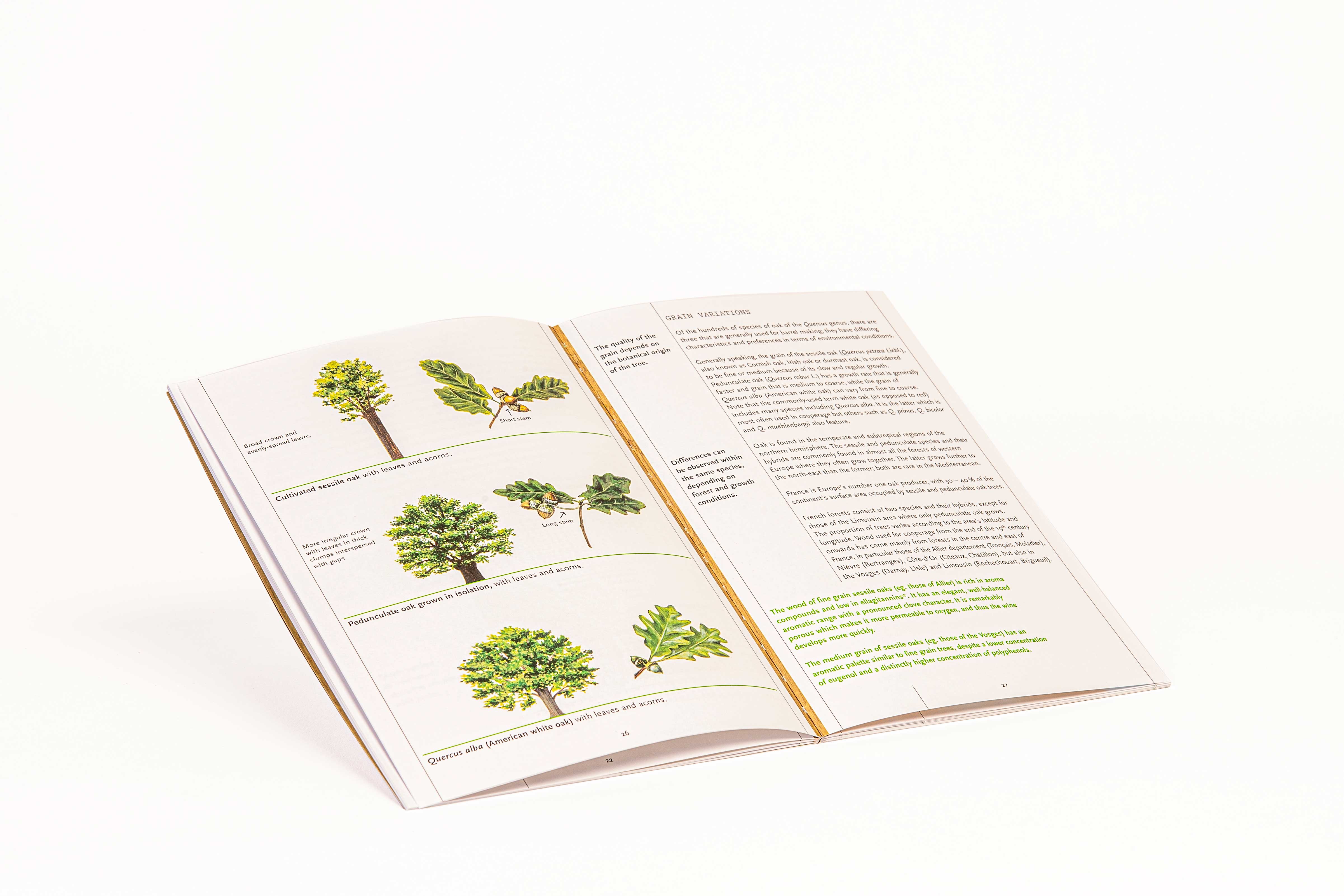 Le Nez du Vin - Wine Aroma Kit by Jean Lenoir - Oak 12 Aromas