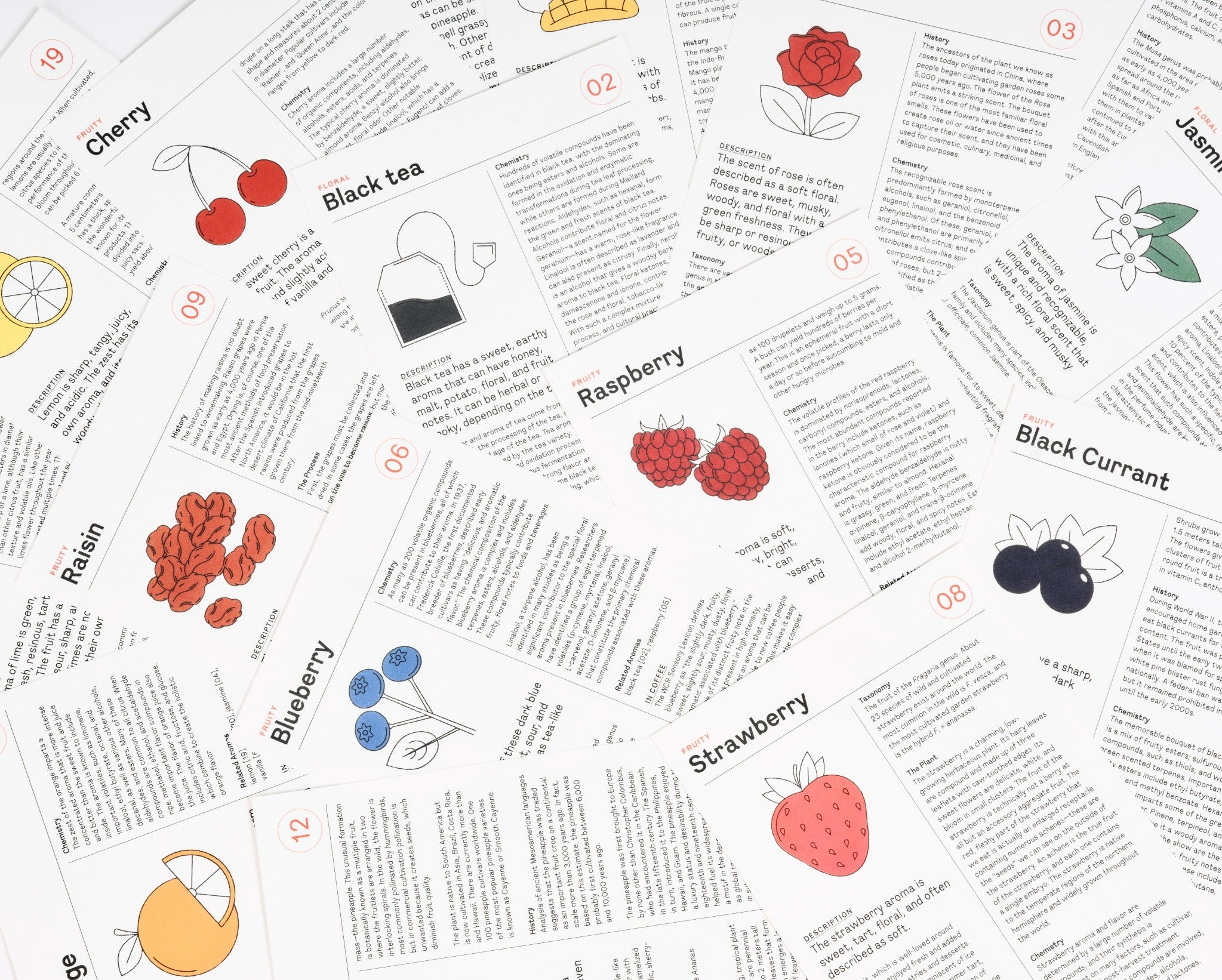 Le Nez du Café 2.0 - Kit 60 arômes de café par Jean Lenoir