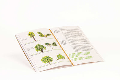 Le Nez du Vin Oak Kit — explore aromas of barrel fermentation and oak maturation